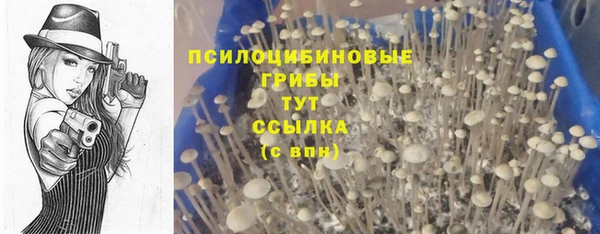 соль ск Бронницы