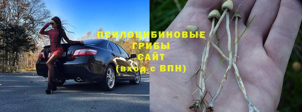 ешки Вяземский